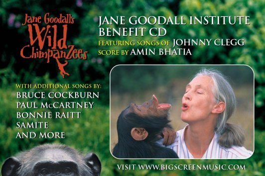 Jane Goodall's Wild Chimpanzees — Jane Goodall Institute Benefit CD cover